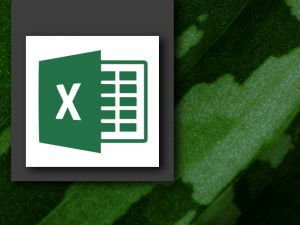 Excel Advanced training Melbourne